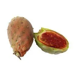 Cactus Pear