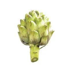 Artichoke