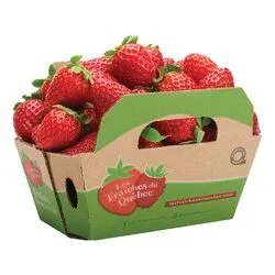 Organic Strawberries