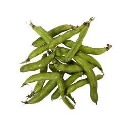 Broad Beans