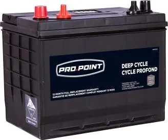 Batterie à décharge poussée 24 DC, 12 V