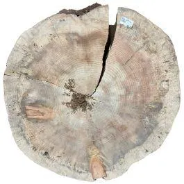 Tranche de noyer tendre, 20/4 X 28" X 28"