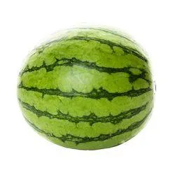 Organic Mini Watermelon