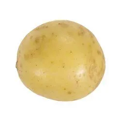 Yukon Gold Potato