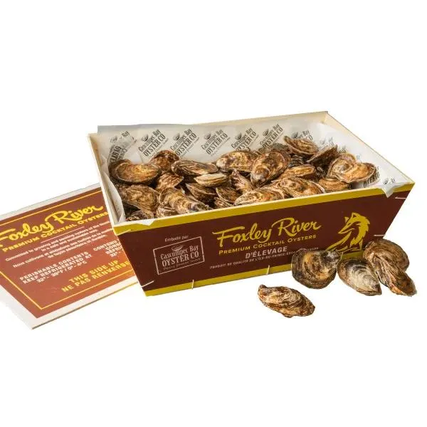 Foxley River Oysters Starter Kit, 100 × 2.5 in. to 3 in.