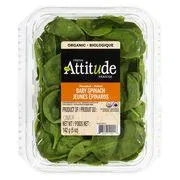 Organic Baby Spinach