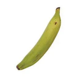 Plantain