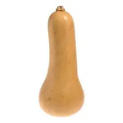 Butternut Squash