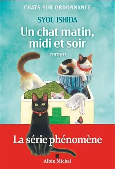 Un chat matin, midi et soir
