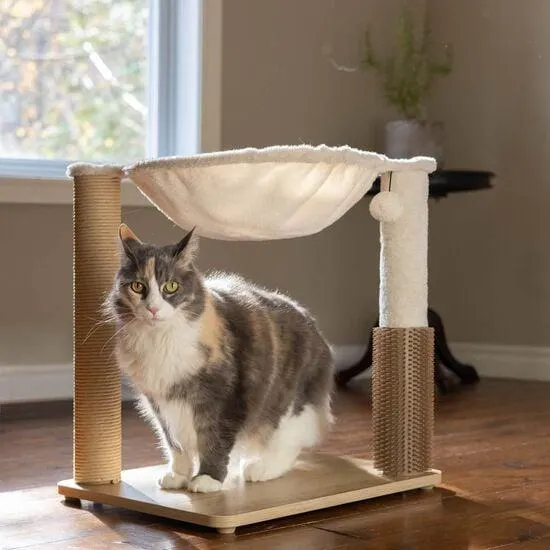 Arbre à chat de style hamac