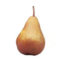 Bosc Pear