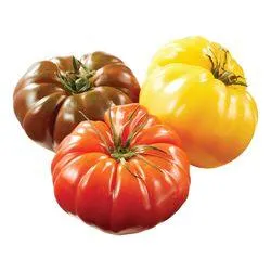Heirloom Tomato
