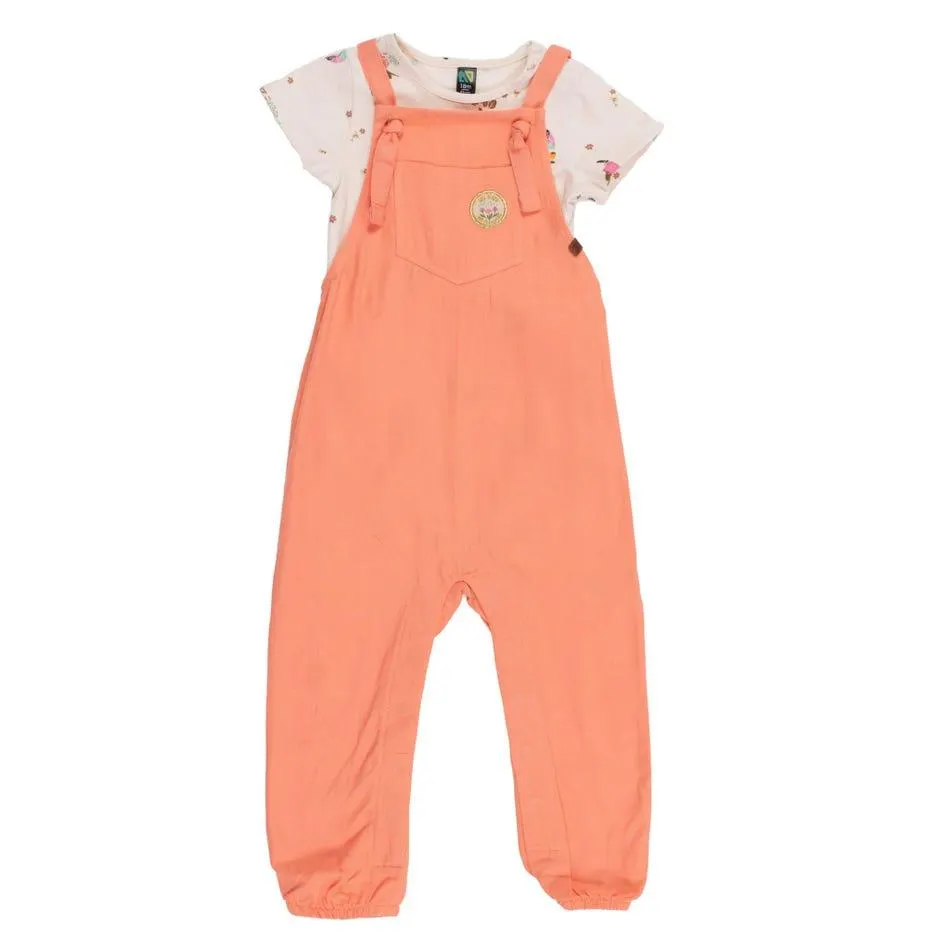 Flowers Overall Set 6-24m