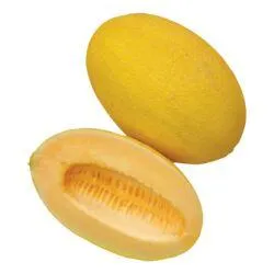 Hami melon