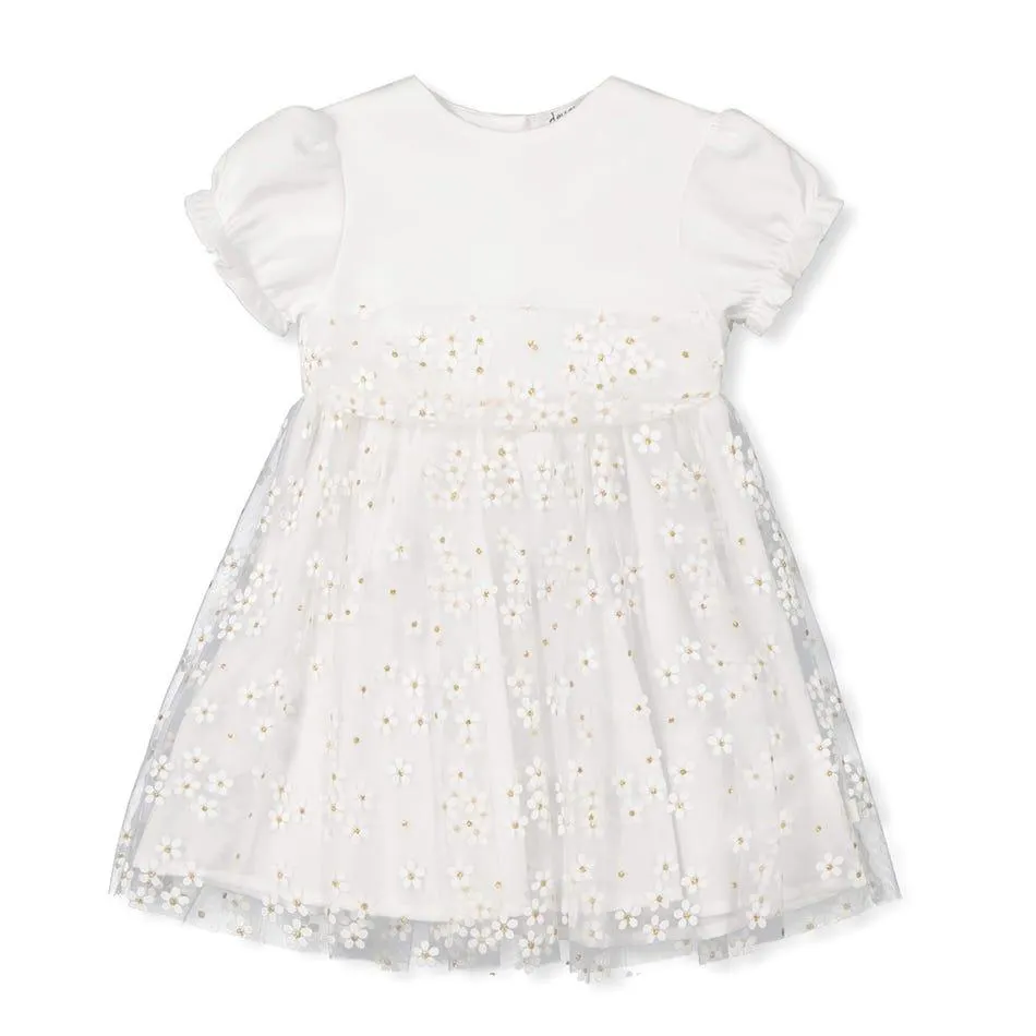 Very Chic Dress 12-24m