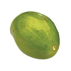 Bruce Avocado
