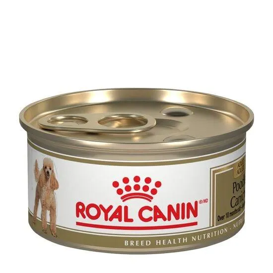 Nourriture en conserve formule nutrition santé de race pour Caniche adulte