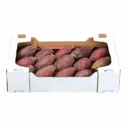 Cactus Pear Case