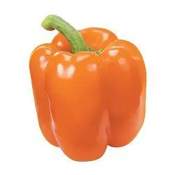 Hothouse Orange Pepper