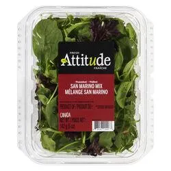 San Marino Salad Mix