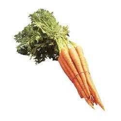 Carrots with Tops