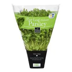 Italian Parsley in a Pot