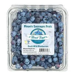 Fresh wild blueberries