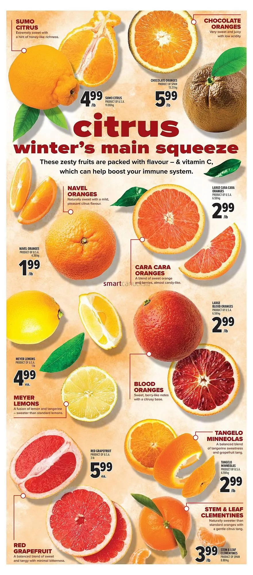 Metro flyer from January 22 to January 28 2026 - flyer page 15