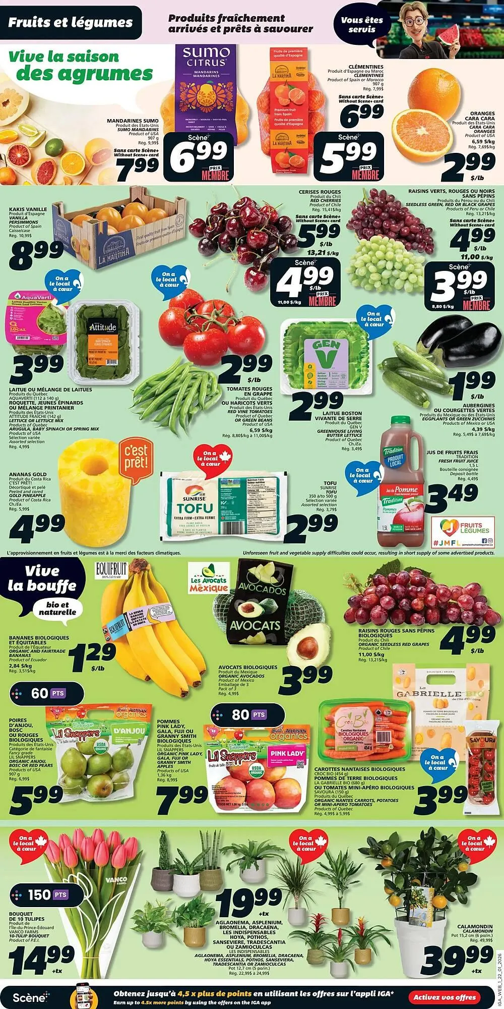 IGA flyer from January 22 to January 28 2026 - flyer page 3