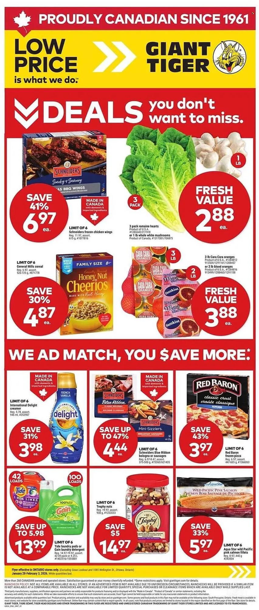 Giant Tiger flyer - 1