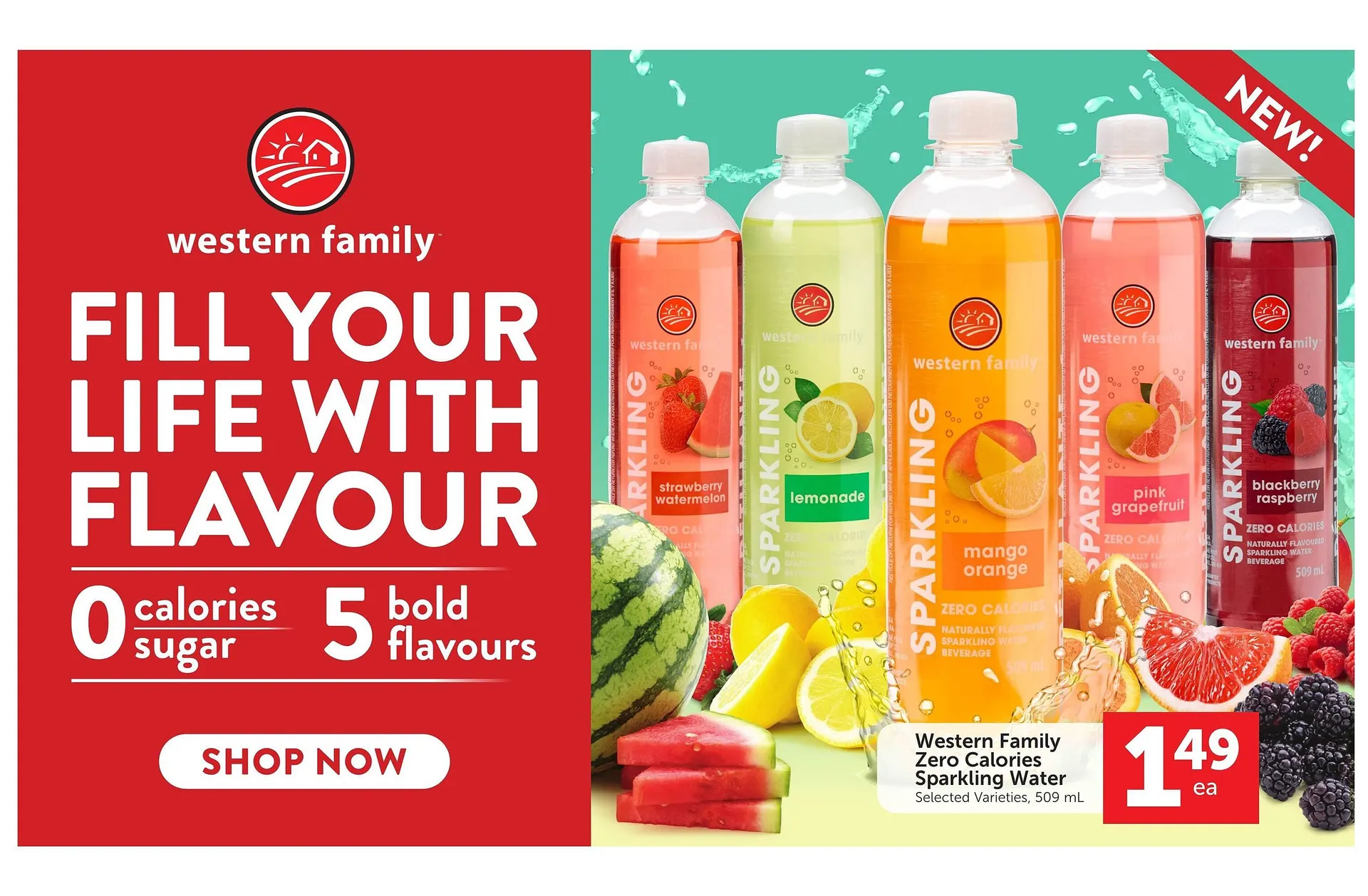 Buy-Low Foods flyer from March 20 to March 26 2025 - flyer page 9