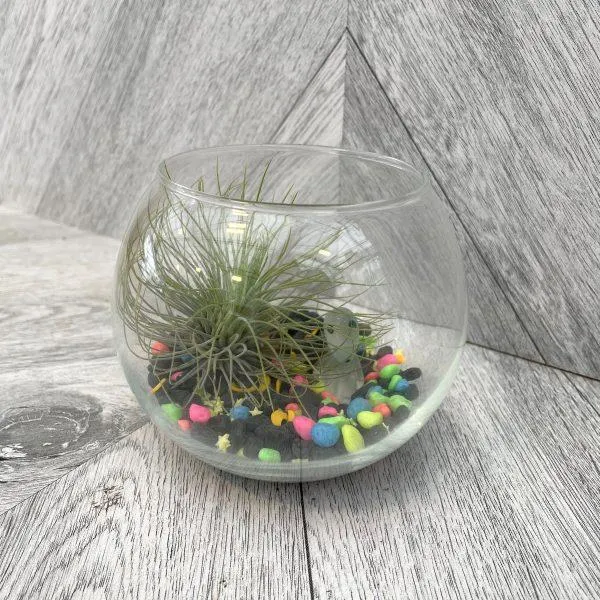 Nebula Glitter Habitat