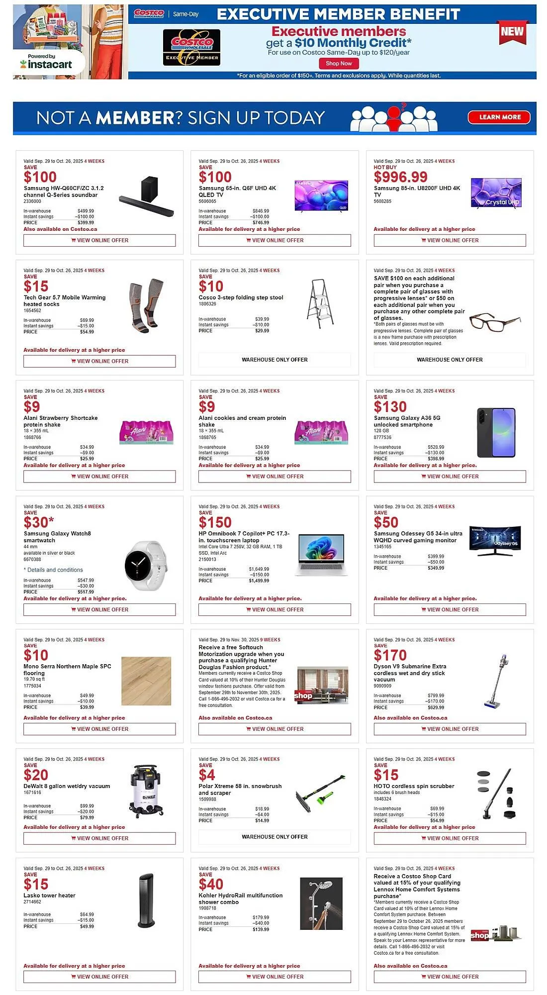 Costco flyer - 1