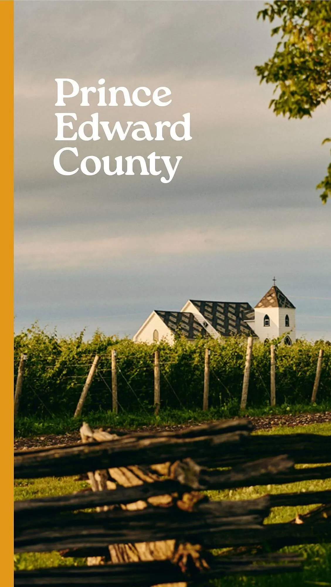 LCBO flyer from May 9 to May 15 2025 - flyer page 140