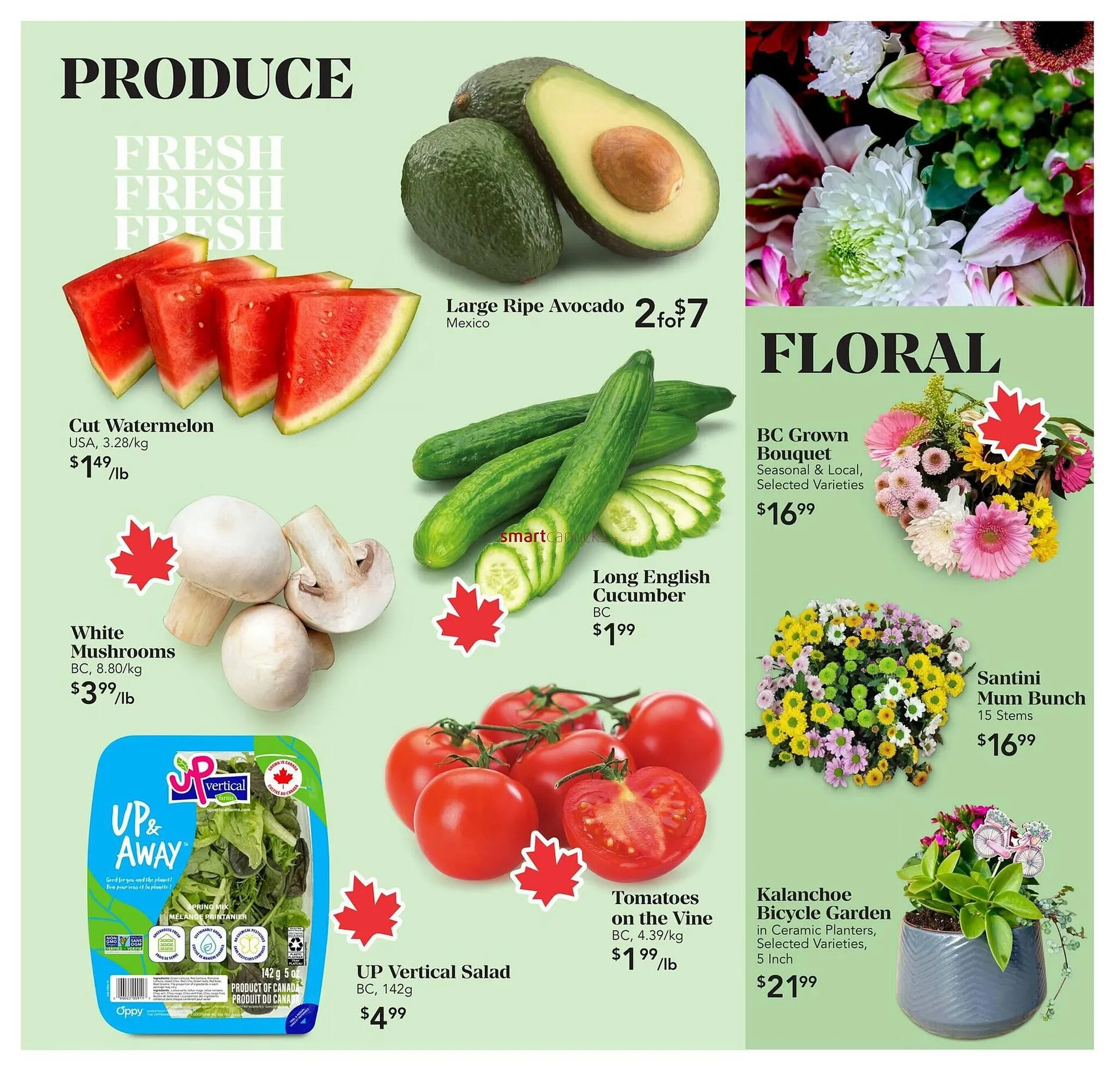 Urban Fare flyer from June 12 to June 18 2025 - flyer page 2