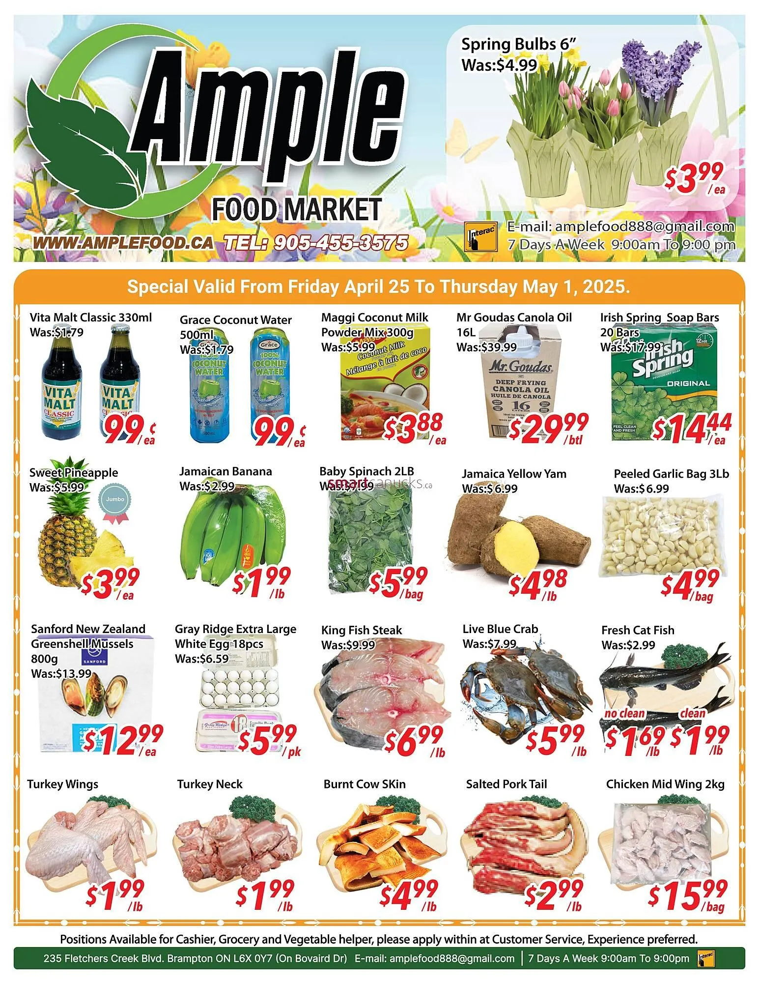 Ample Food Market flyer from April 25 to May 1 2025 - flyer page 1