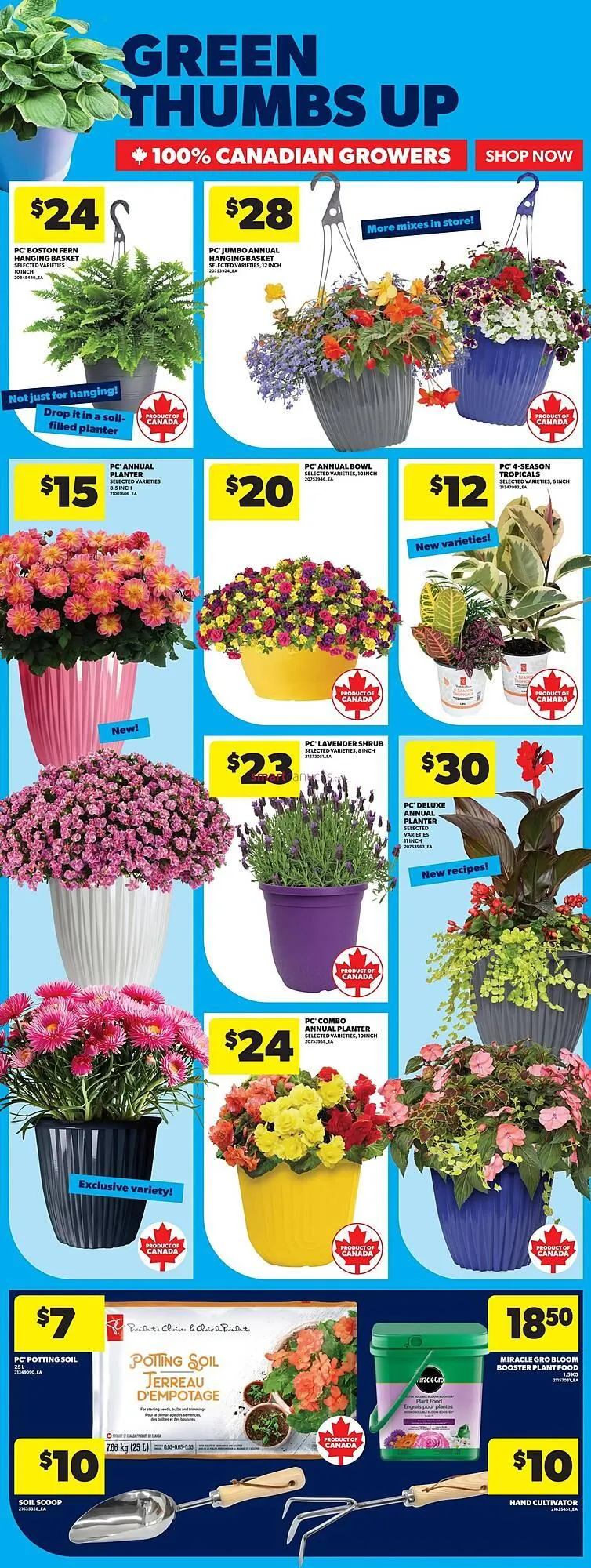 Real Canadian Superstore flyer from May 22 to May 28 2025 - flyer page 43
