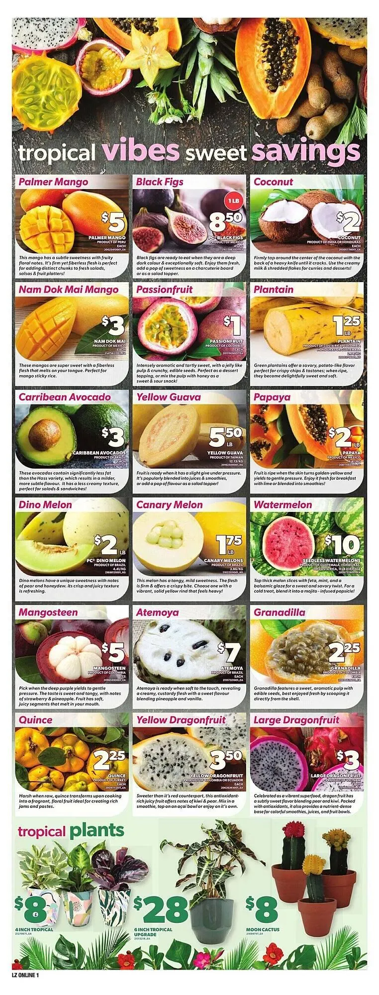 Loblaws flyer from February 26 to March 5 2026 - flyer page 7