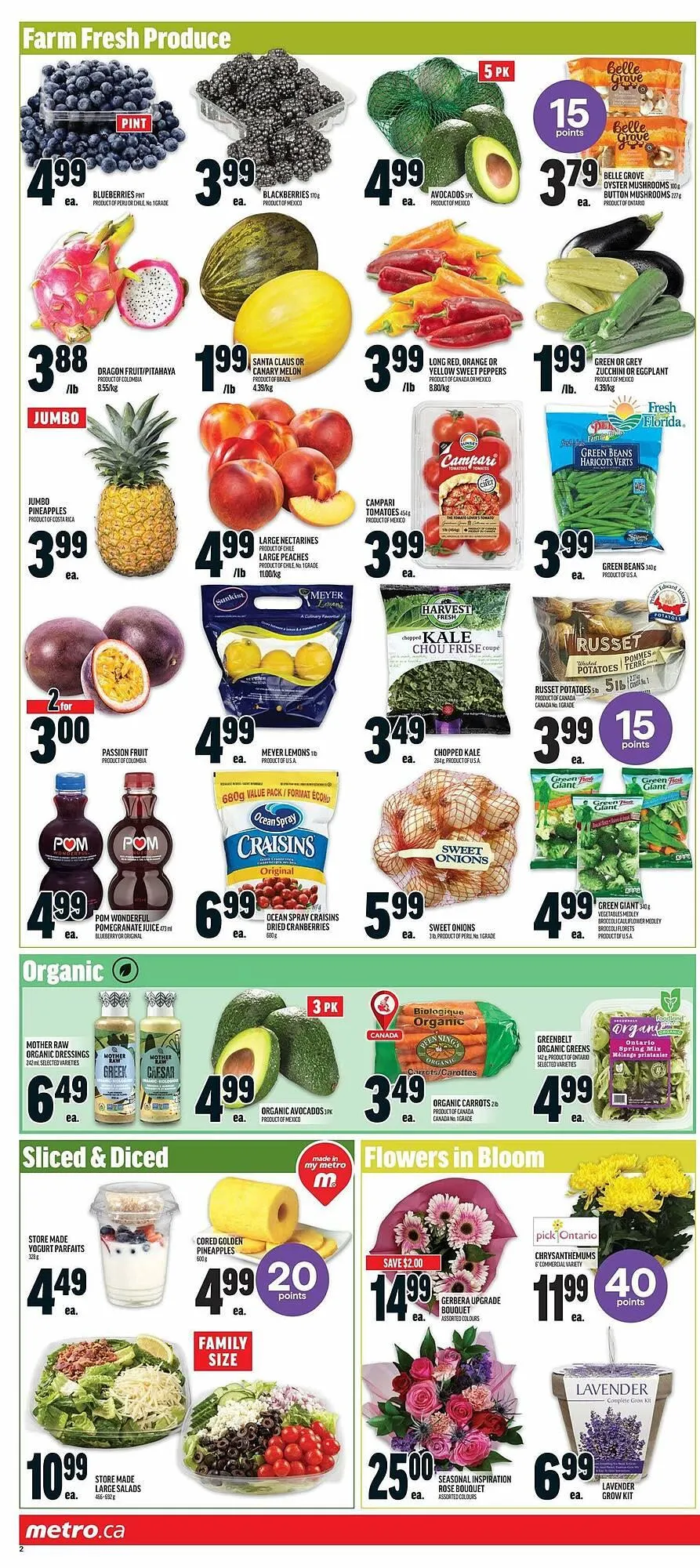 Metro flyer from January 16 to January 23 2025 - flyer page 5