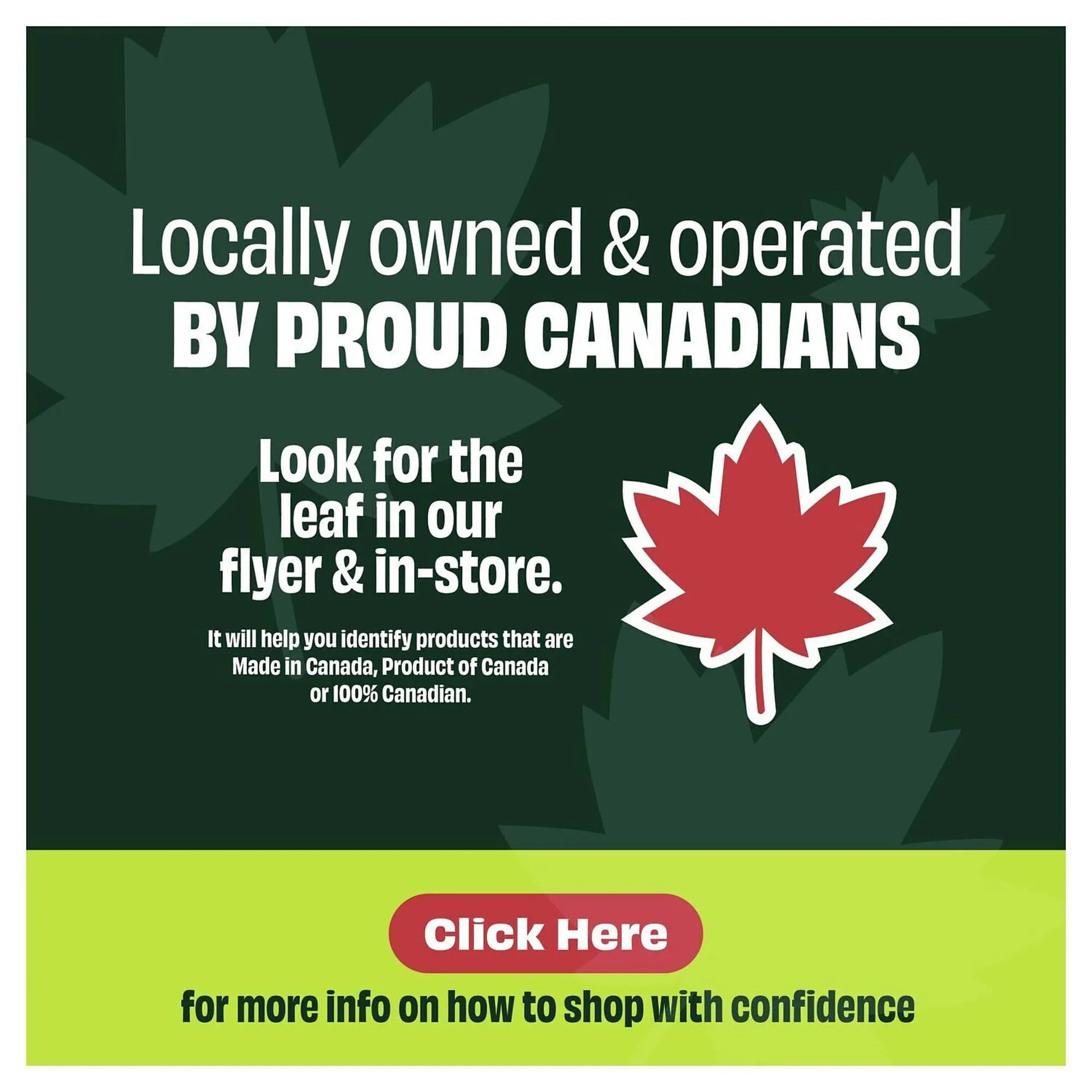 FreshCo flyer from June 5 to June 12 2025 - flyer page 2