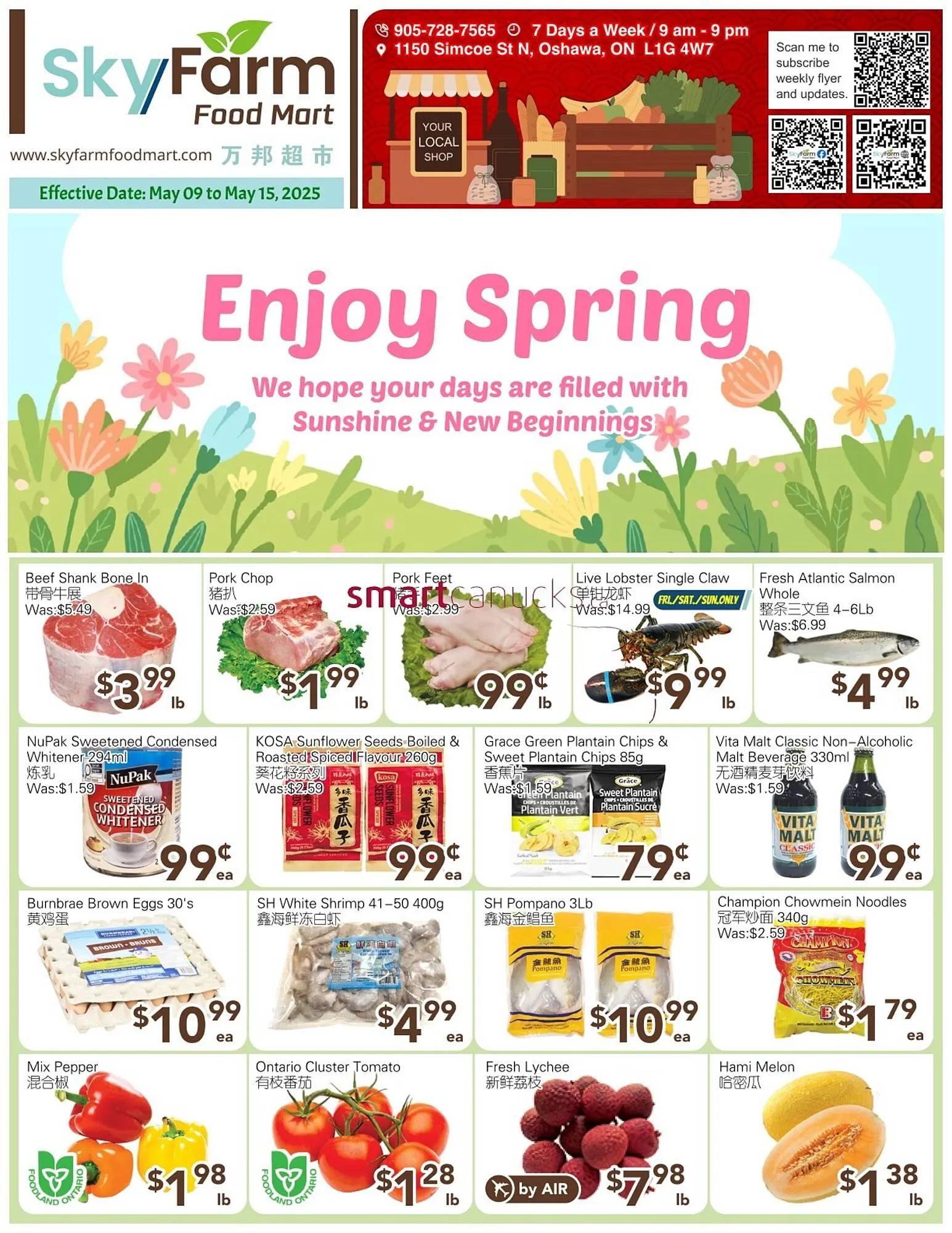 Skyland Foodmart flyer - 1