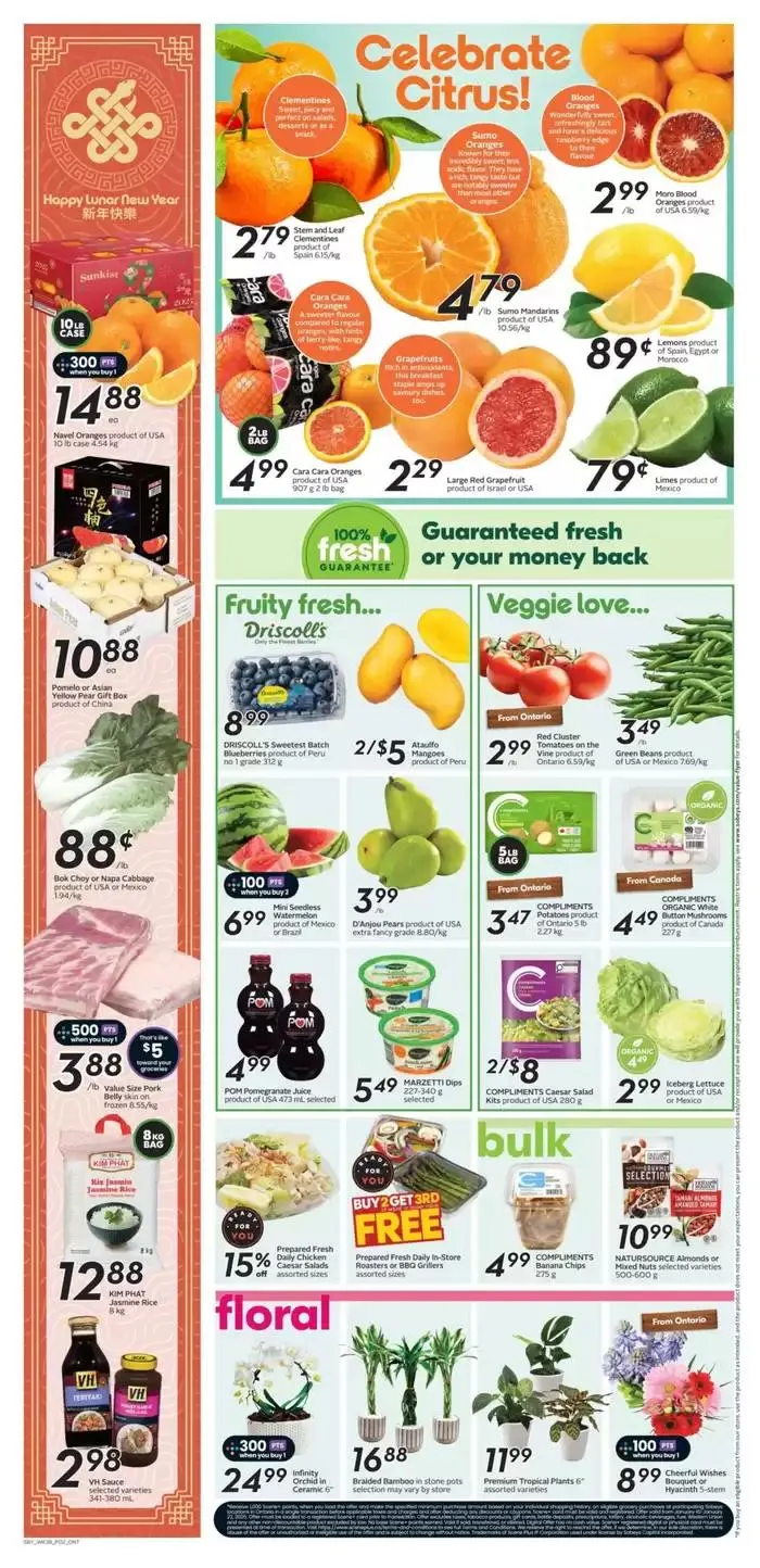 Sobeys Weekly ad from January 16 to January 22 2025 - flyer page 13