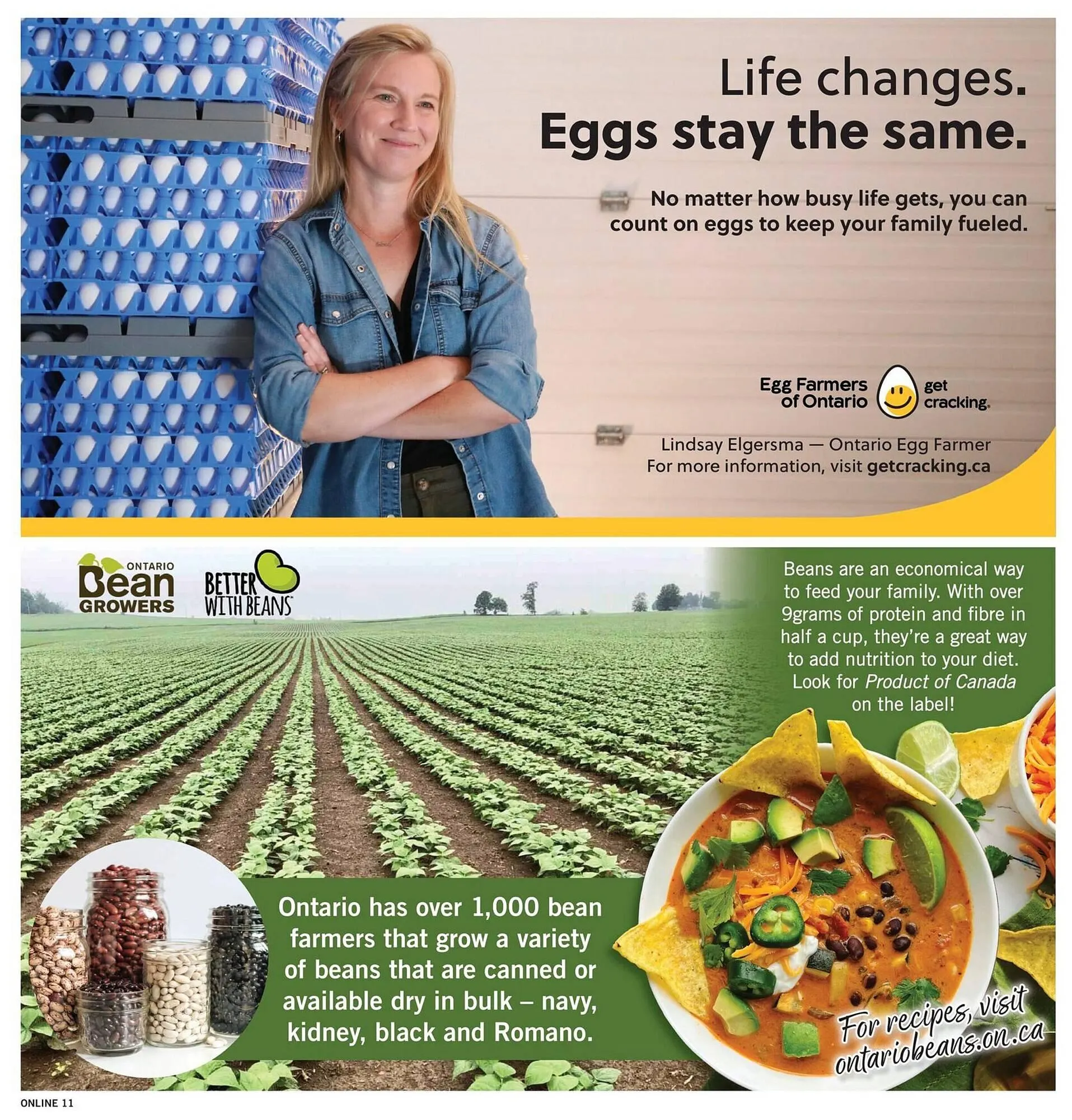 Fortinos flyer from July 24 to July 30 2025 - flyer page 11