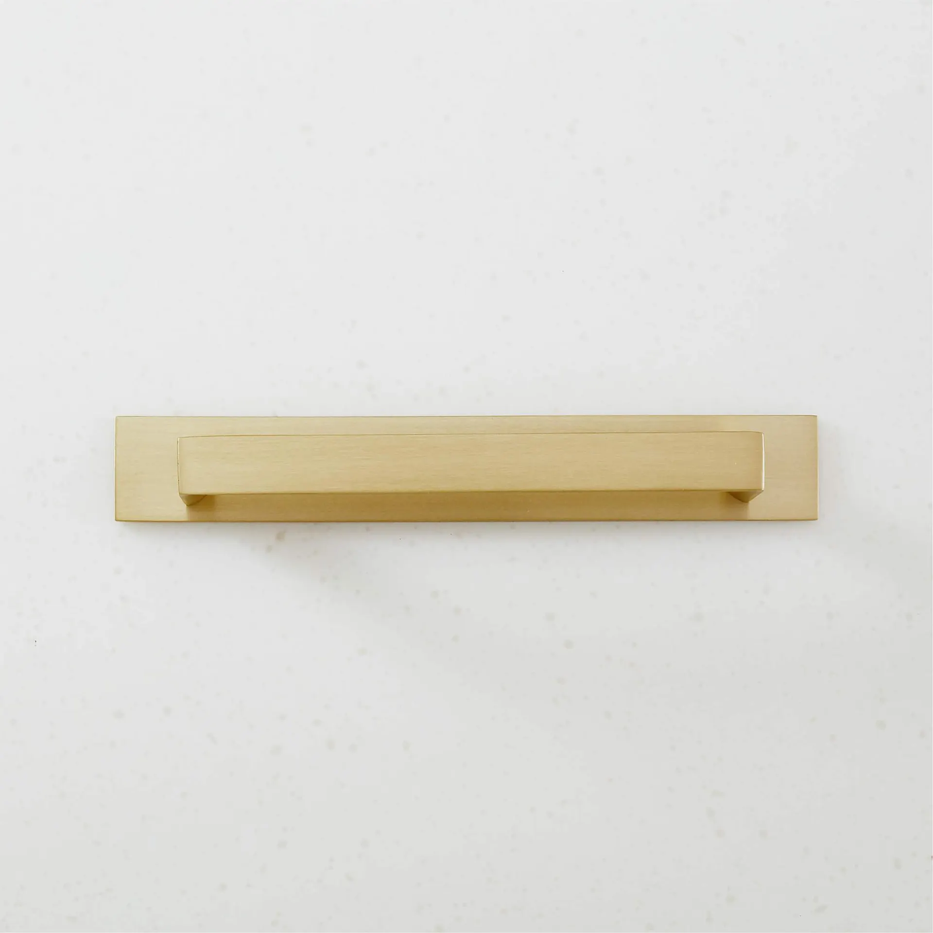 Damon Brushed Brass Handle with Back Plate 5"