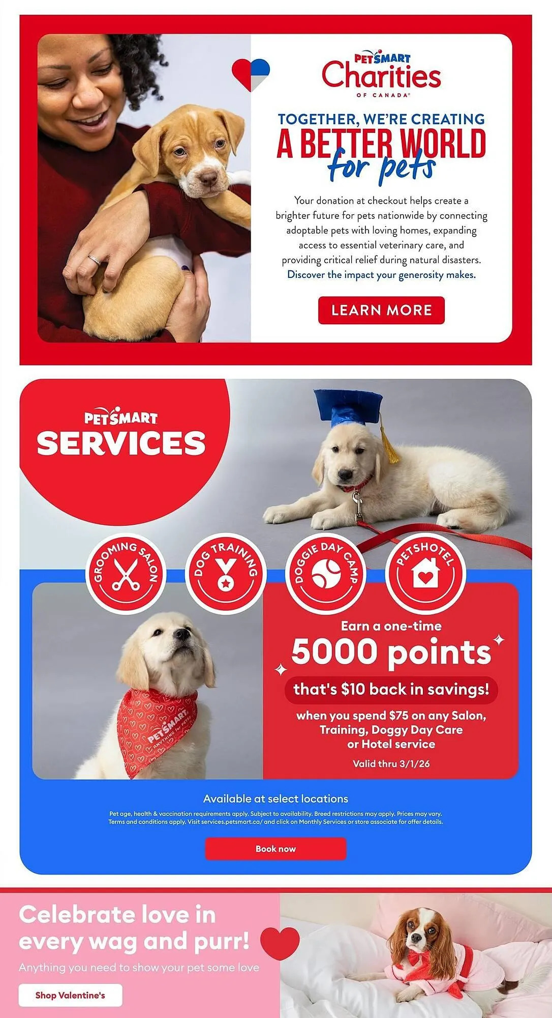 Petsmart flyer from February 5 to February 8 2026 - flyer page 3