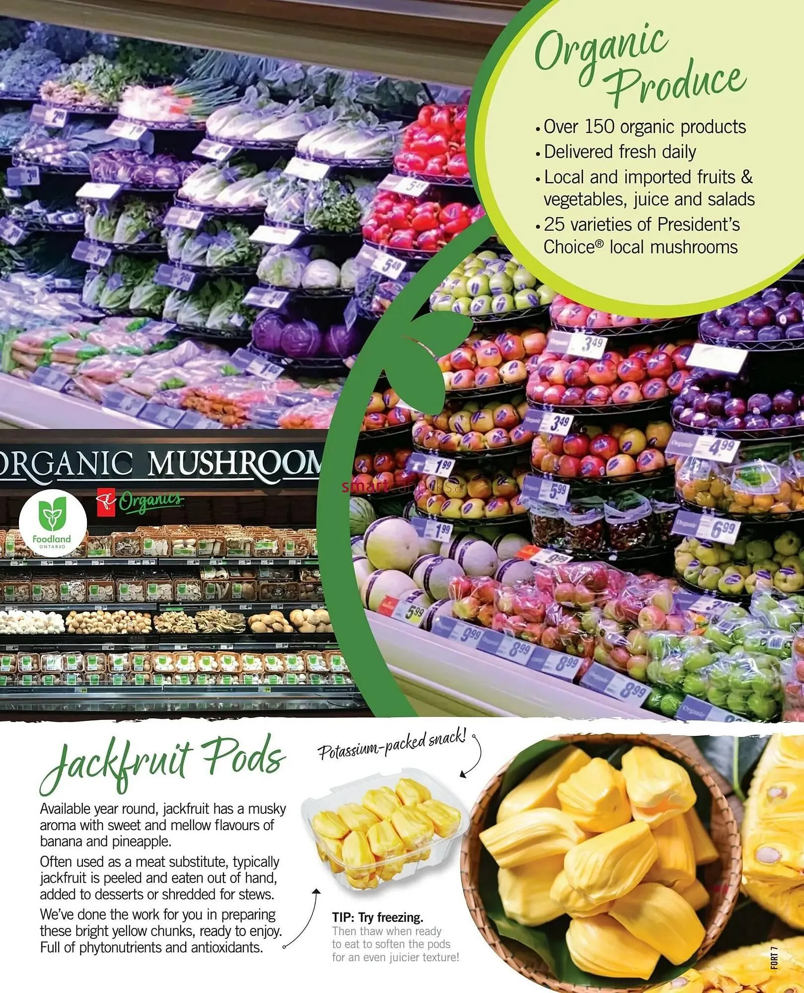 Fortinos flyer from September 19 to September 25 2024 - flyer page 29