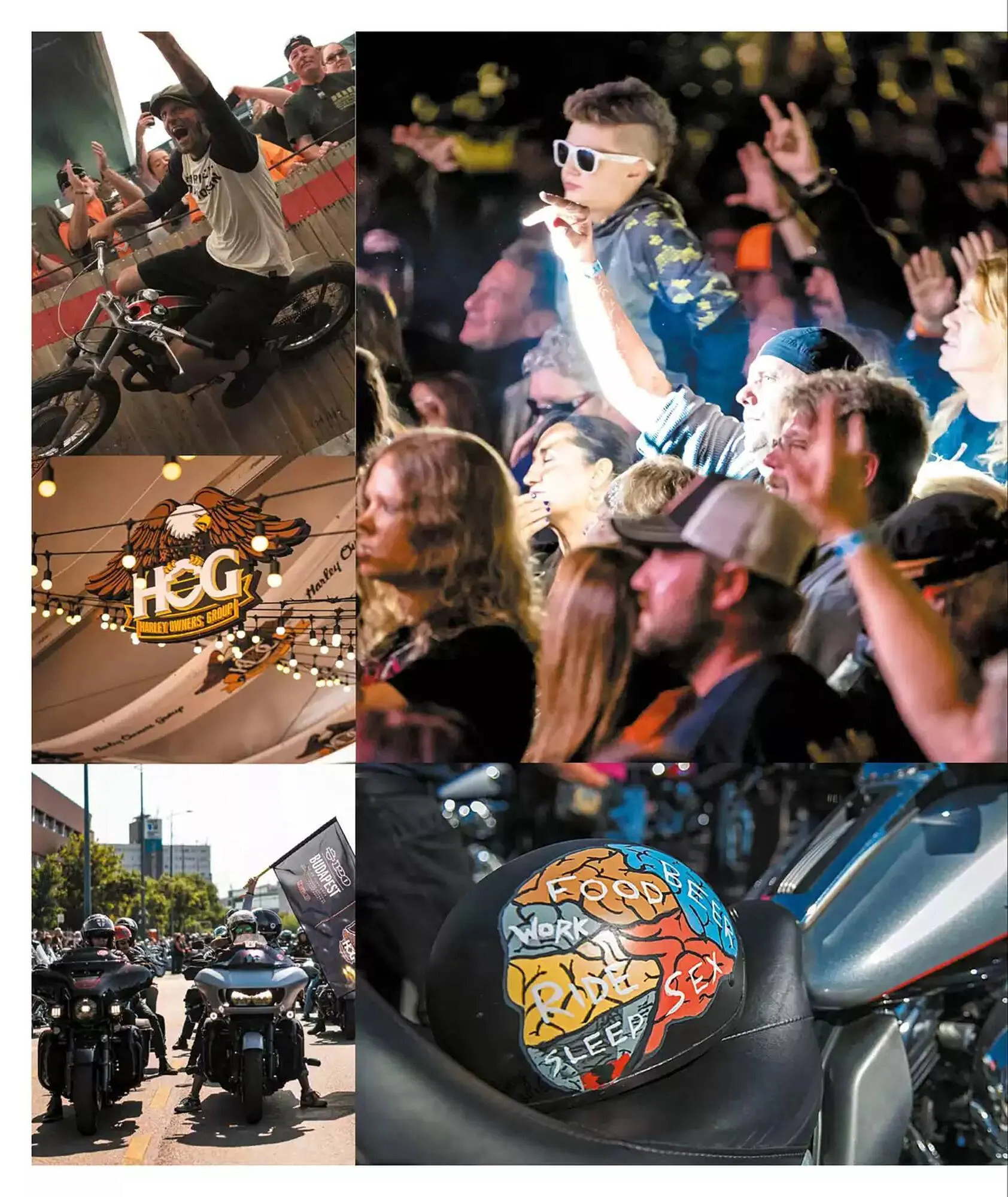 Harley Davidson flyer from February 6 to February 6 2026 - flyer page 48