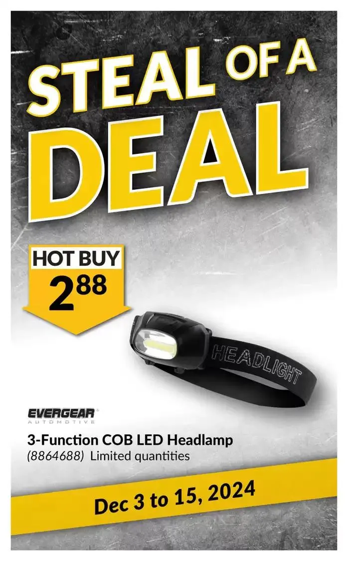 National Sale from November 19 to December 1 2024 - flyer page 6