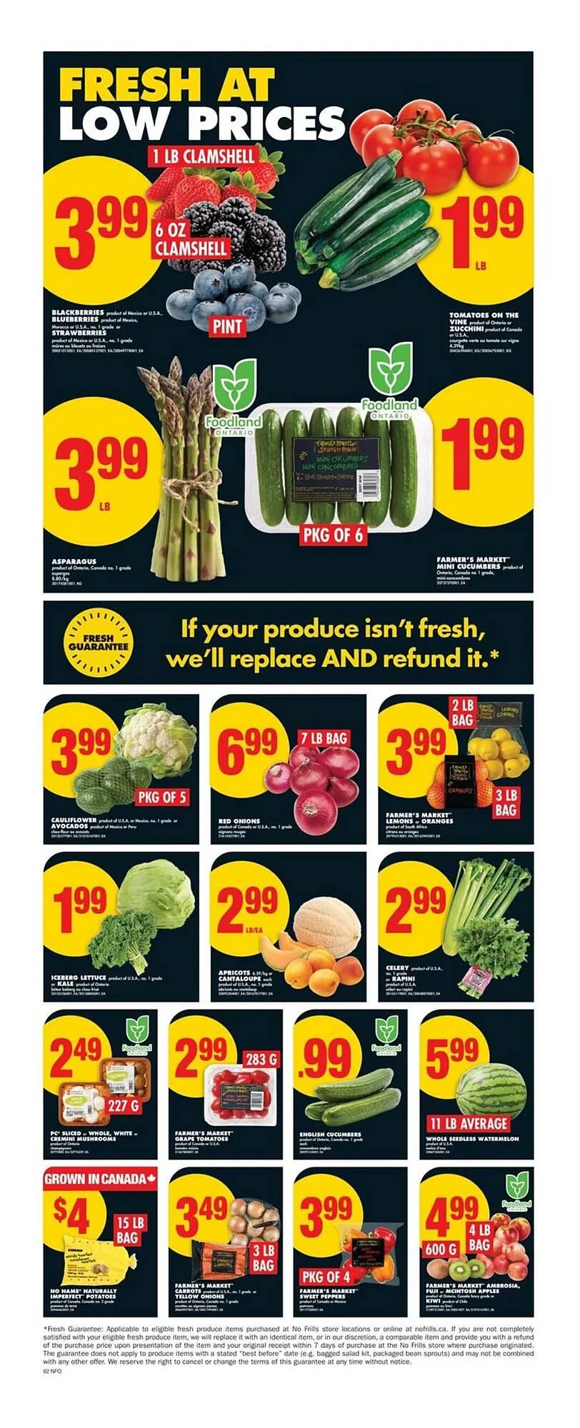 No Frills flyer from June 19 to June 25 2025 - flyer page 4