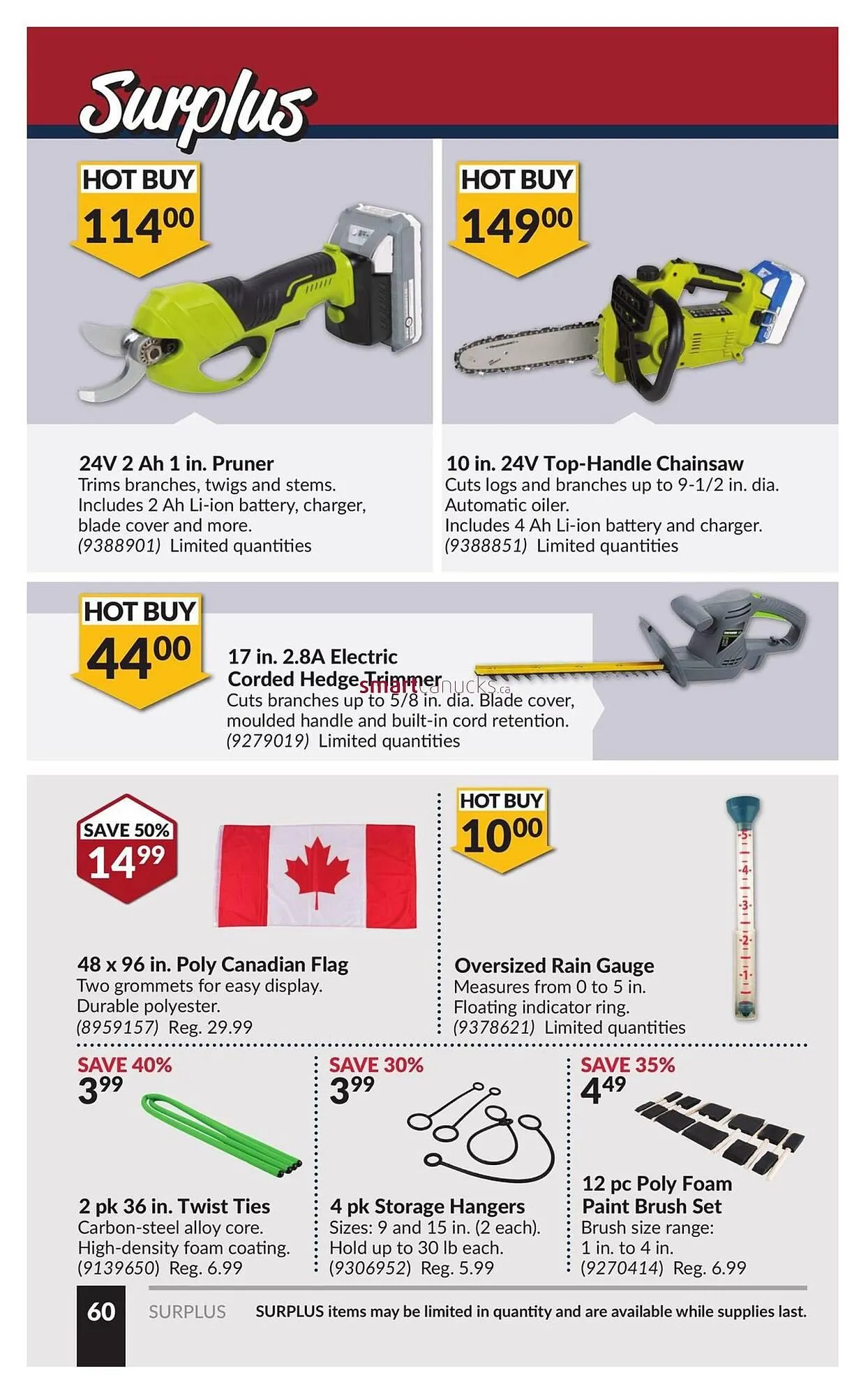 Princess Auto flyer from April 18 to April 24 2025 - flyer page 65